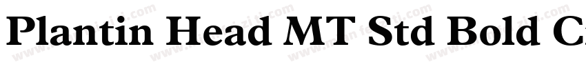 Plantin Head MT Std Bold Cn字体转换